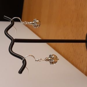 Beautiful Beaded Pierced Earrings JJ114